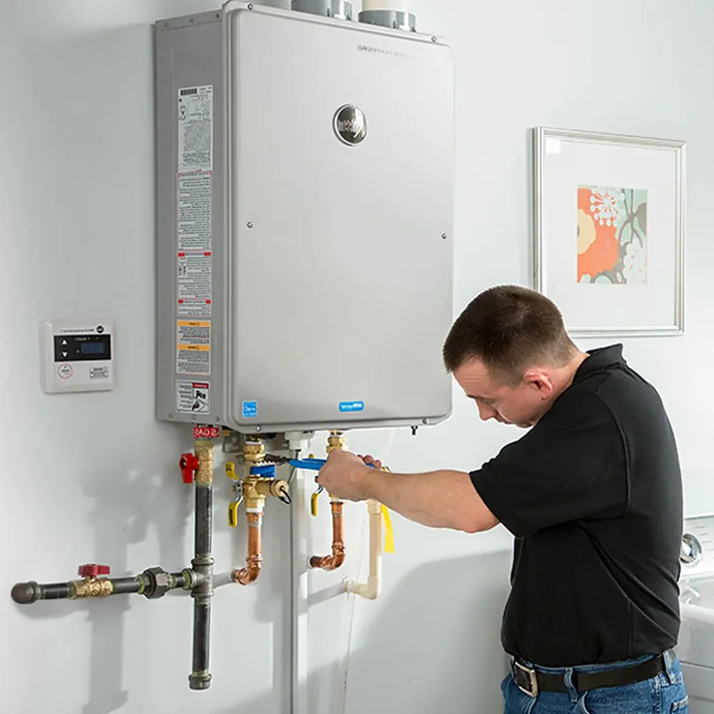 tankless water heater repair in Louvale, GA